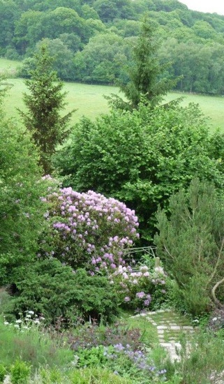 tl_files/anglais/arbres.jpg tl_files/anglais/arbres.jpg